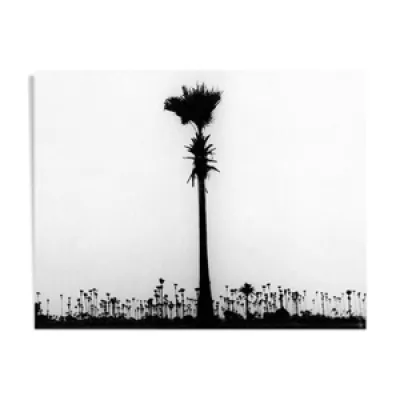 palmier, Bombay années