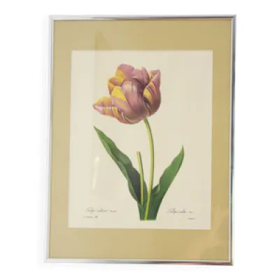 Reproduction pj redouté - tulipe verre