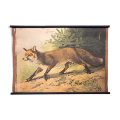 Affiche fox  lithographie - karl
