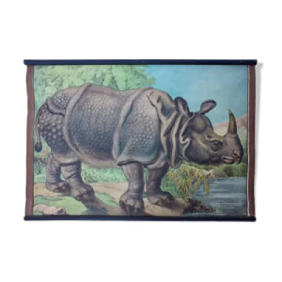 Affiche rhino  lithographie - karl