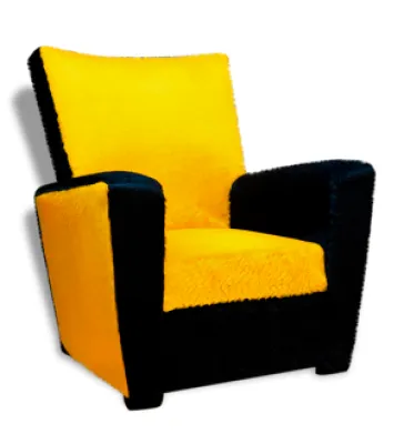 fauteuil bicolore