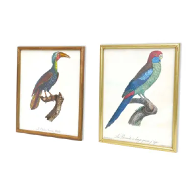2 affiches lithographies - oiseaux