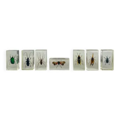 Lot de 7 insectes inclusions