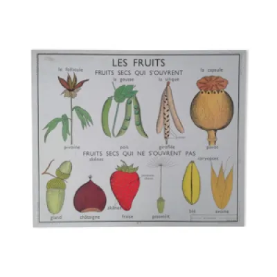 Ancienne affiche rossignol - fruits