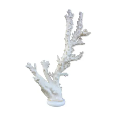 Branche de corail 46 - socle marbre