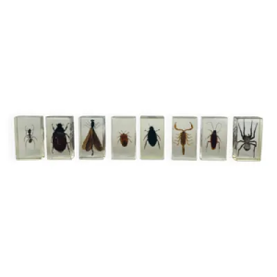Lot de 8 insectes inclusions