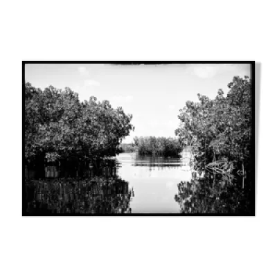 Paysage Everglades, Floride - fine