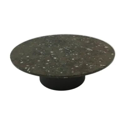 Table basse avec fossile,