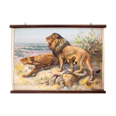 Affiche lion tableau