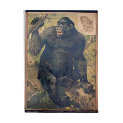 Affiche gorille grille