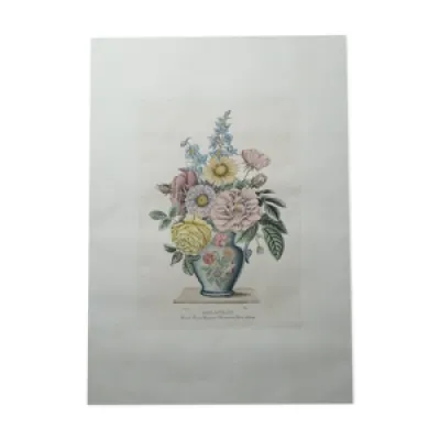 Lithographie par Prévost - anglais vase