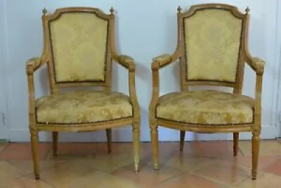 Paire de fauteuils Parisiens - furniture