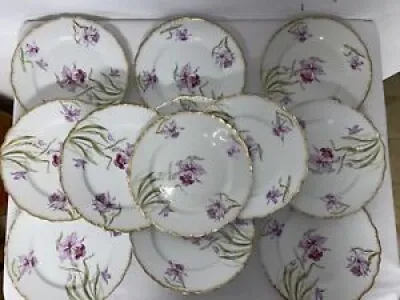 12 Assiettes plates  - iris