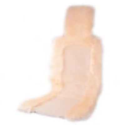 Beige Car Front Seat - cover