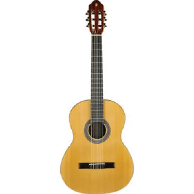 Eko VIBRA100 - Guitare