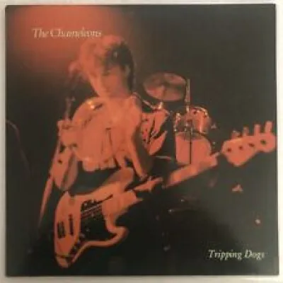 The chameleons : tripping - pyramid
