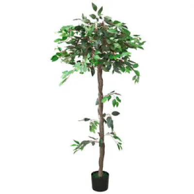 Ficus Benjamina Plante - 160cm