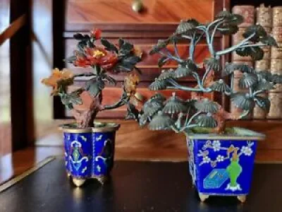 Miniatures jardinières - bonsai