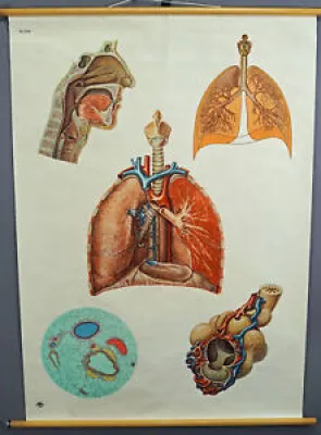 Vintage Mural Medical - system