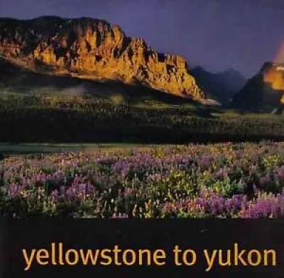 florian schulz / Yellowstone