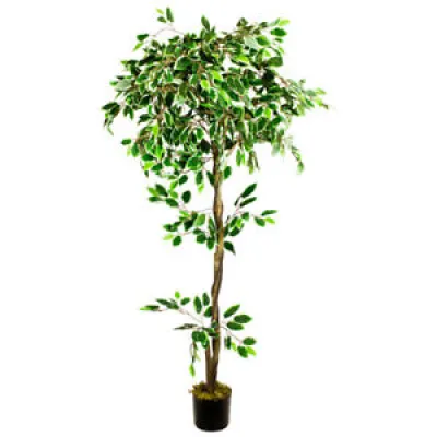 Ficus Benjamina Plante - artificiel