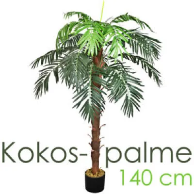 Cocotier Palmier Plante - 140cm