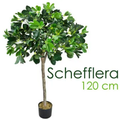 DECOVEGO SCHEFFLERA PLANTE - 120cm
