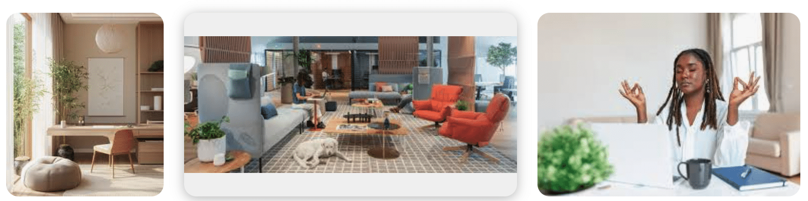 Comment Aménager un Bureau Professionnel Zen et Fonctionnel