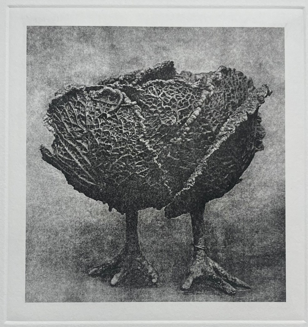 Claude Lalanne - Choupatte