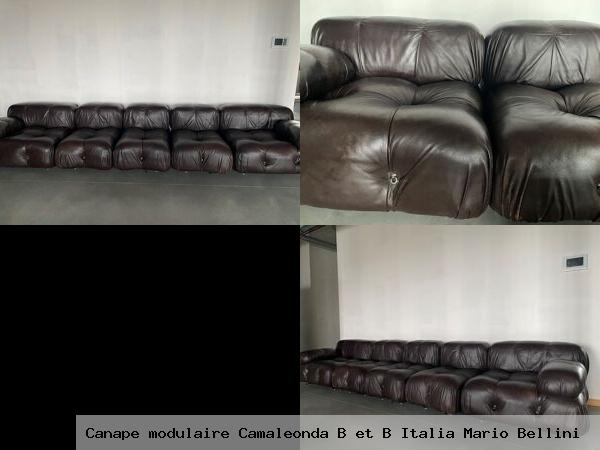 Canape modulaire camaleonda et italia mario bellini