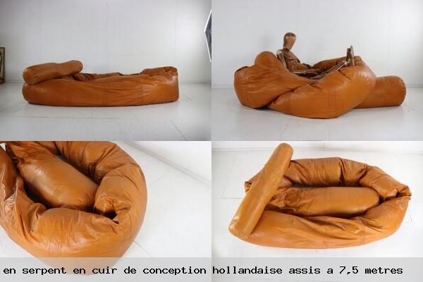 Coussin serpent cuir de conception hollandaise assis a 7 5 metres