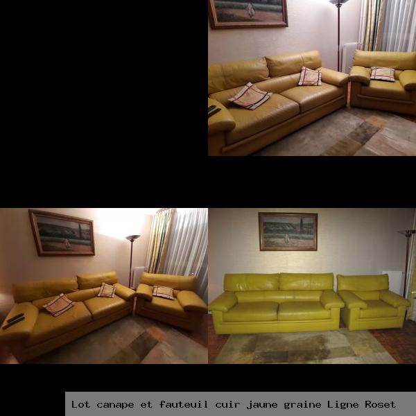 Lot canape et fauteuil cuir jaune graine ligne roset