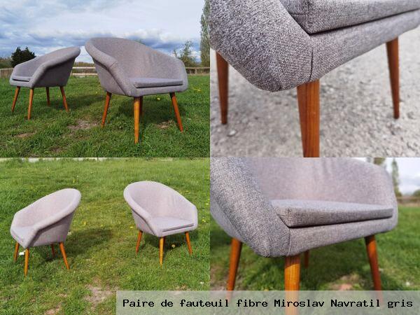 Paire de fauteuil fibre miroslav navratil gris