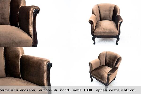 Paire de fauteuils anciens europe du nord vers 1890 apres restauration 