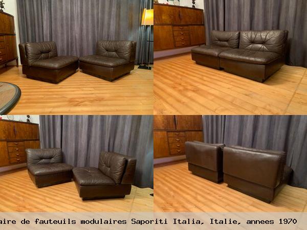 Paire de fauteuils modulaires saporiti italia italie annees 1970