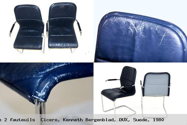 Set de 2 fauteuils cicero kenneth bergenblad dux suede 1980