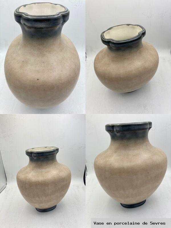 Vase en porcelaine de sevres