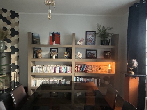 Contemporain,ROCHEBOBOIS(2)