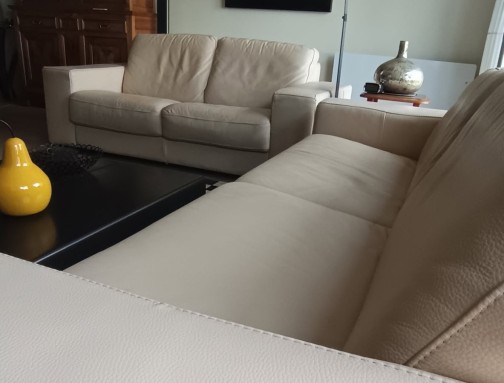 Violino,Home Salon(4)