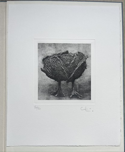 Claude Lalanne - Choupatte(3)