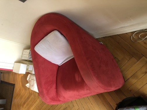 Confident,STEINER,Véronique Vailhe(4)