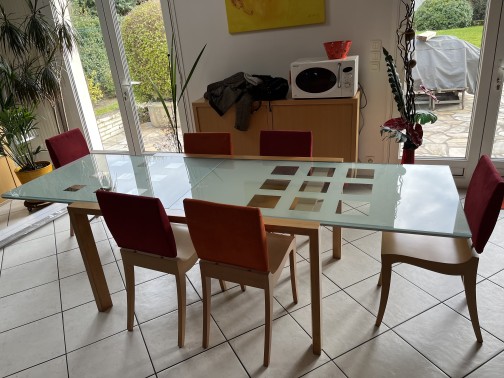 Extansia,Ligne Roset(2)