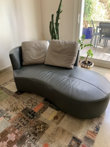 canapé arrondi plus grande chaise longue,ROCHE & BOBOIS(2)